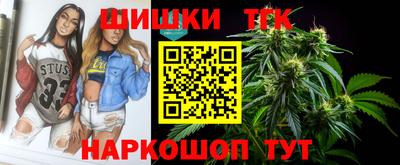 гашик Дубна