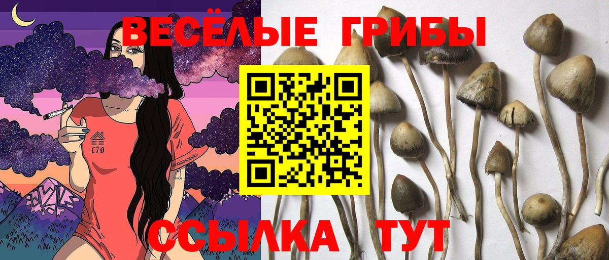 Галлюциногенные грибы ЛСД  Галлюциногенные грибы Cubensis  Медногорск  Вход с VPN 